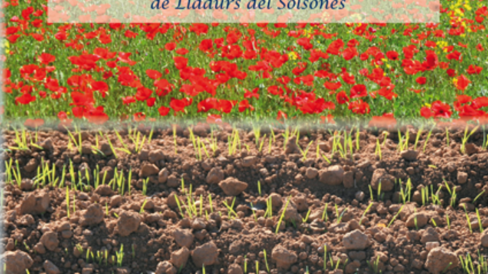 portada aigua