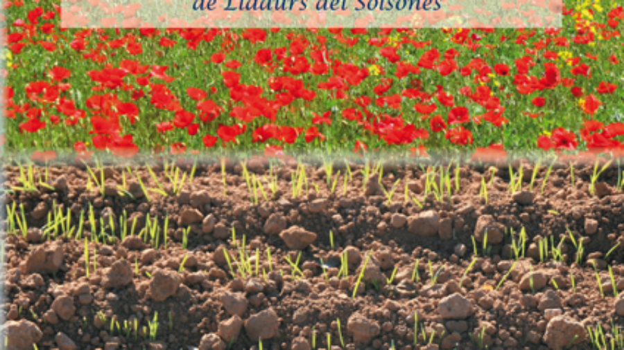 portada aigua